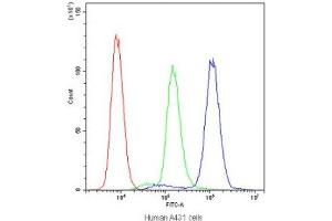 Flow cytometry testing of human A431 cells with PTP4A2 antibody at 1ug/10^6 cells (blocked with goat sera) (PTP4A2 anticorps)