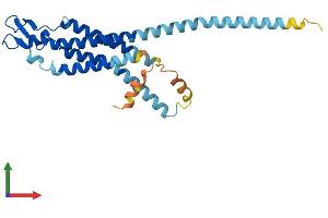 AlphaFold protein structure predicition of Mouse Recombinant Gjb6 Protein, UniprotID P70689
