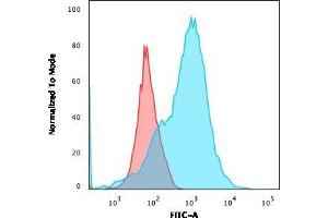 Flow Cytometric Analysis of MOLT4 cells using CD2 Mouse Monoclonal Antibody (1E7E8. (CD2 anticorps)