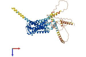 AlphaFold protein structure predicition of Human Recombinant GPR161 Protein, UniprotID Q8N6U8