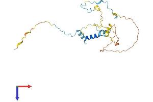 AlphaFold protein structure predicition of Mouse Recombinant Myoz3 Protein, UniprotID Q8R4E4