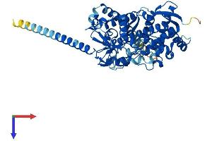 AlphaFold protein structure predicition of Human Recombinant CYP4V2 Protein, UniprotID Q6ZWL3
