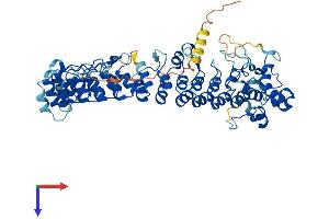 AlphaFold protein structure predicition of Human Recombinant ASB14 Protein, UniprotID A6NK59