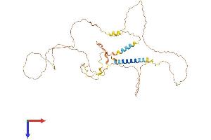 AlphaFold protein structure predicition of Mouse Recombinant Ajap1 Protein, UniprotID A2ALI5