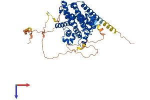 AlphaFold protein structure predicition of Human Recombinant PDE7A Protein, UniprotID Q13946