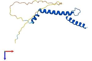 AlphaFold protein structure predicition of Human Recombinant NHLH2 Protein, UniprotID Q02577
