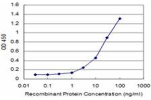 Detection limit for recombinant GST tagged HOXC12 is approximately 0.