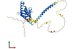 AlphaFold protein structure predicition of Mouse Recombinant Gulp1 Protein, UniprotID Q8K2A1