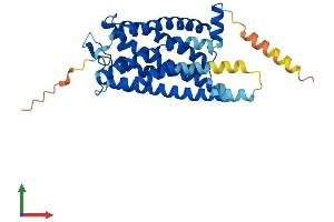 AlphaFold protein structure predicition of Human Recombinant P2RY14 Protein, UniprotID Q15391