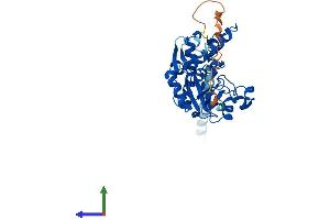 AlphaFold protein structure predicition of Mouse Recombinant Hs3st5 Protein, UniprotID Q8BSL4