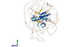 AlphaFold protein structure predicition of Human Recombinant MAP3K9 Protein, UniprotID P80192