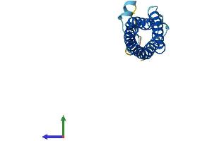 AlphaFold protein structure predicition of Mouse Recombinant Mall Protein, UniprotID Q91X49