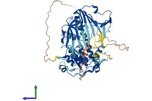 AlphaFold protein structure predicition of Human Recombinant ANKRD13C Protein, UniprotID Q8N6S4