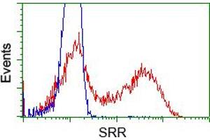 Flow Cytometry (FACS) image for anti-Serine Racemase (SRR) antibody (ABIN1501137) (SRR anticorps)