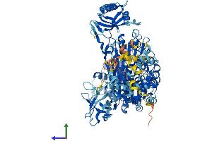 AlphaFold protein structure predicition of Human Recombinant UBA7 Protein, UniprotID P41226