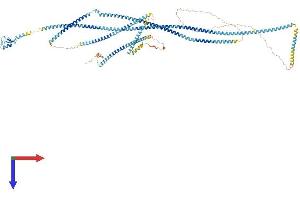 AlphaFold protein structure predicition of Mouse Recombinant Rnf40 Protein, UniprotID Q3U319