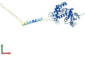 AlphaFold protein structure predicition of Mouse Recombinant Cd38 Protein, UniprotID P56528