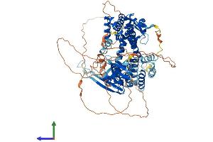 AlphaFold protein structure predicition of Human Recombinant RGL2 Protein, UniprotID O15211