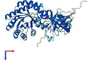 AlphaFold protein structure predicition of Human Recombinant AZIN1 Protein, UniprotID O14977