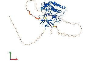 AlphaFold protein structure predicition of Human Recombinant CSNK1G3 Protein, UniprotID Q9Y6M4