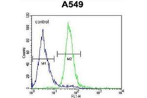 anti-Chromosome 15 Open Reading Frame 39 (C15ORF39) (AA 945-975), (C-Term) antibody