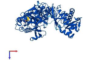 AlphaFold protein structure predicition of Human Recombinant XYLB Protein, UniprotID O75191