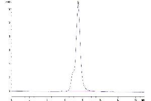 The purity of Human LRRC15 is greater than 95 % as determined by SEC-HPLC.