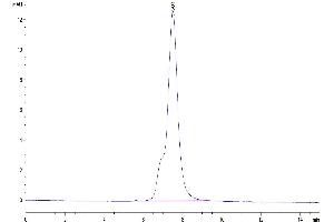 Size-exclusion chromatography-High Pressure Liquid Chromatography (SEC-HPLC) image for Leucine Rich Repeat Containing 15 (LRRC15) protein (His-Avi Tag) (ABIN7275215)