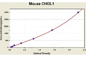 Diagramm of the ELISA kit to detect Mouse CH1 3L1with the optical density on the x-axis and the concentration on the y-axis. (CHI3L1 Kit ELISA)