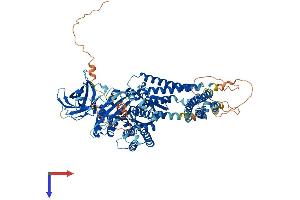 AlphaFold protein structure predicition of Mouse Recombinant Inpp4a Protein, UniprotID Q9EPW0