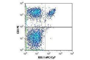 Flow Cytometry (FACS) image for anti-V alpha 2 TCR antibody (APC-Cy7) (ABIN2660724) (V alpha 2 TCR anticorps (APC-Cy7))