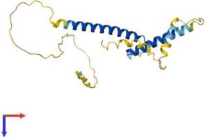 AlphaFold protein structure predicition of Human Recombinant BHLHA15 Protein, UniprotID Q7RTS1