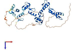 AlphaFold protein structure predicition of Human Recombinant ZFP92 Protein, UniprotID A6NM28