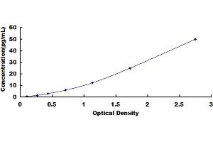 Image no. 1 for Interleukin 1 alpha (IL1A) ELISA Kit (ABIN1873500)