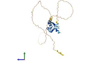 AlphaFold protein structure predicition of Mouse Recombinant Rbm7 Protein, UniprotID Q9CQT2