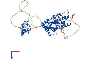 AlphaFold protein structure predicition of Human Recombinant ESRRG Protein, UniprotID P62508