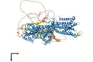 AlphaFold protein structure predicition of Human Recombinant ATP10D Protein, UniprotID Q9P241