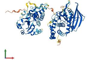 AlphaFold protein structure predicition of Mouse Recombinant Ptpn9 Protein, UniprotID O35239