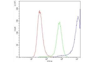 Flow cytometry testing of human A549 cells with Calpastatin antibody at 1ug/10^6 cells (blocked with goat sera) (Calpastatin anticorps  (AA 275-310))