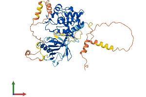 AlphaFold protein structure predicition of Human Recombinant MAP3K8 Protein, UniprotID P41279