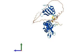 AlphaFold protein structure predicition of Human Recombinant ELAVL3 Protein, UniprotID Q14576
