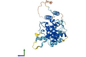 AlphaFold protein structure predicition of Mouse Recombinant Ube2q2 Protein, UniprotID Q8K2Z8
