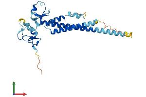 AlphaFold protein structure predicition of Mouse Recombinant Trim40 Protein, UniprotID Q3UWA4