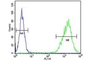 TAZ antibody flow cytometric analysis of MDA-MB231 cells (green) compared to a negative control (blue).