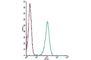 Cell surface detection of TRPC1 by indirect flow cytometry in live intact human THP-1 monocytic leukemia cells: (black line) Cells.