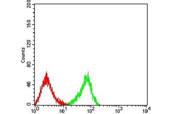 CLEC9A anticorps  (AA 57-241)