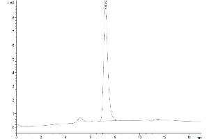 The purity of Bioyintlated Human Nectin-4 is greater than 95 % as determined by SEC-HPLC.