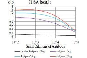 Black line: Control Antigen (100 ng);Purple line: Antigen (10ng); Blue line: Antigen (50 ng); Red line:Antigen (100 ng) (ZFP91 anticorps  (AA 162-304))
