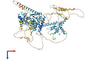 AlphaFold protein structure predicition of Mouse Recombinant Chtf18 Protein, UniprotID Q8BIW9