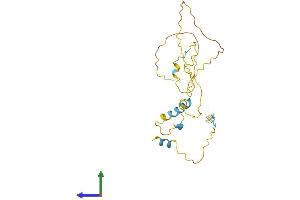 AlphaFold protein structure predicition of Mouse Recombinant Trp53inp1 Protein, UniprotID Q9QXE4